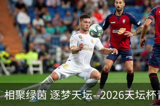 相聚绿茵 逐梦天坛--2026天坛杯青少年足球交流火热开启
